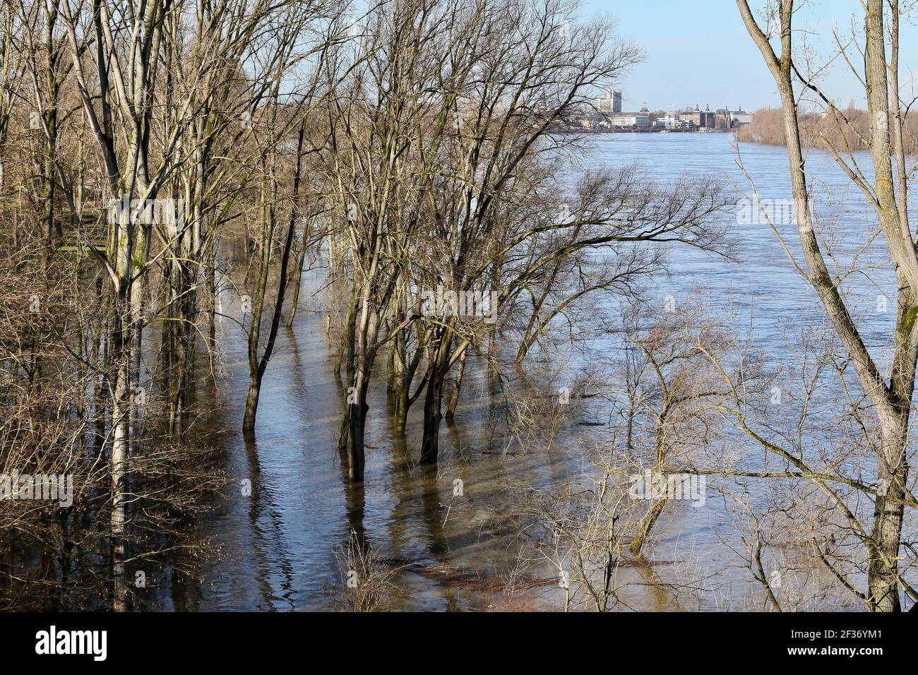 Hoher Wasserstand am Flussufer Stockfoto