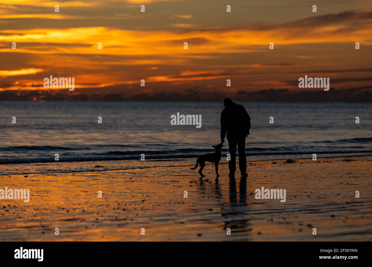 Hundespaziergänger, der am Weihnachtsnachmittag bei Sonnenuntergang in Rustington, West Sussex, am Strand spazieren geht Stockfoto