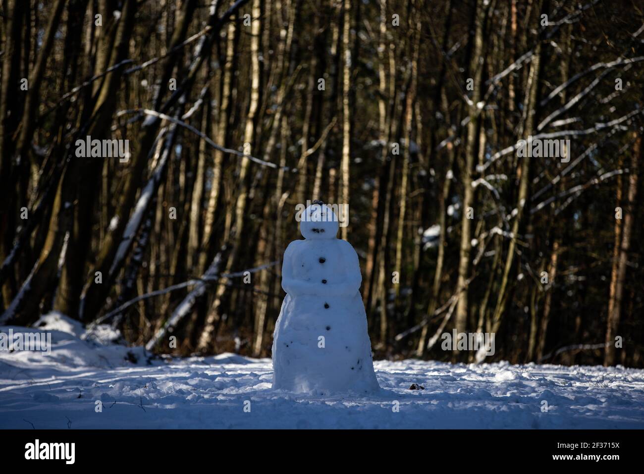 Ein Schneemann in den Surrey Hills Stockfoto