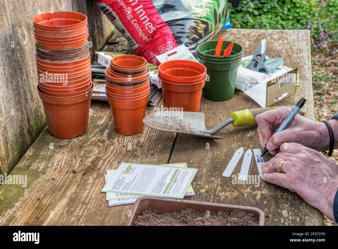 Frau, die Etiketten für Saatgutschalen schreibt. Stockfoto