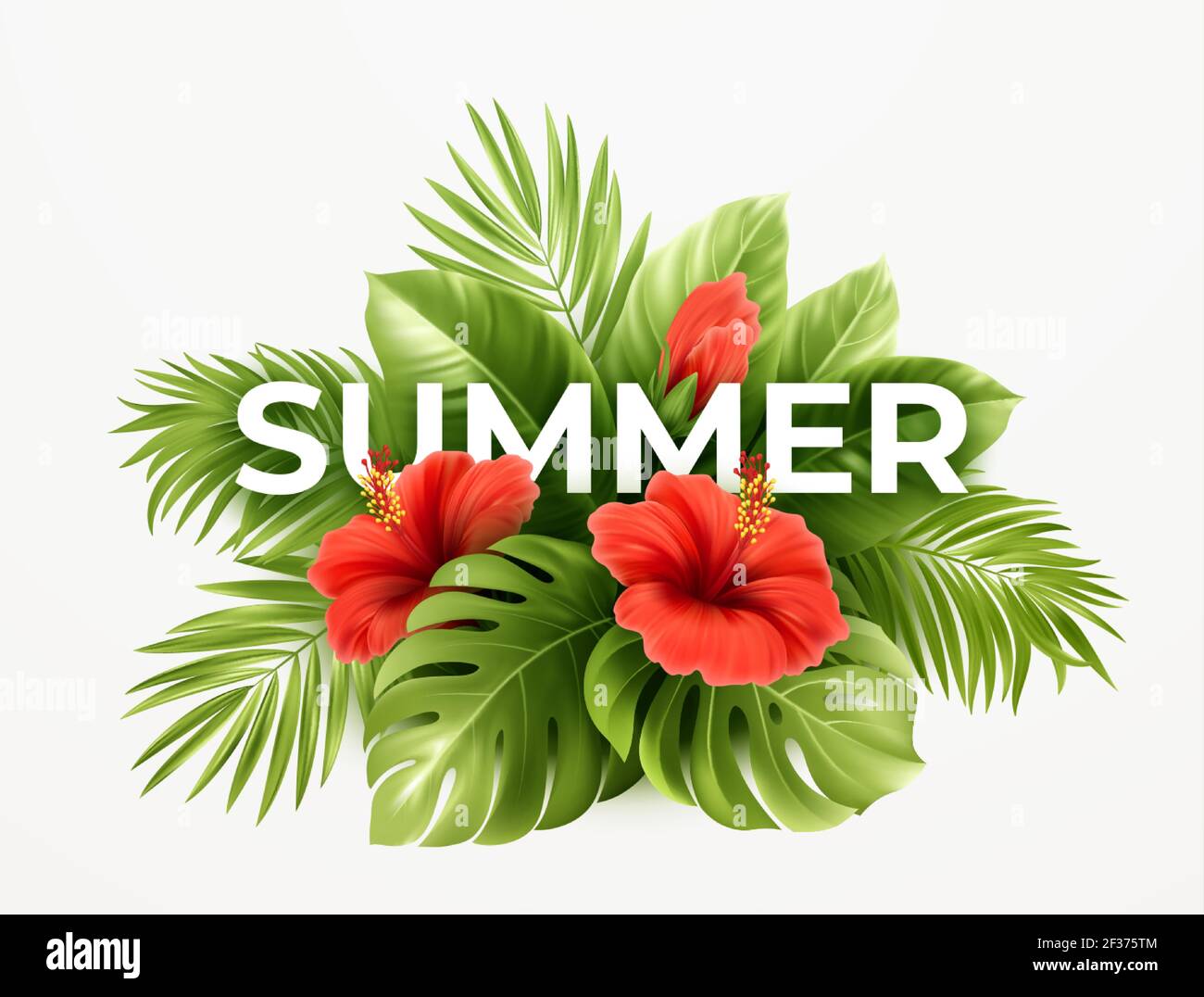 Tropischer Sommer Hintergrund. Tropische Palmenblätter, Monstera mit Hibiskusblüten und Sommer-Schriftzug. Vektorgrafik Stock Vektor