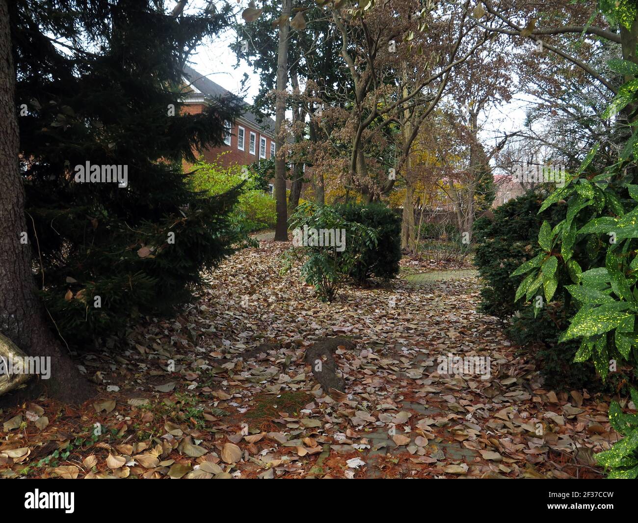 USA, Delaware, New Castle, First State National Park, George Read House Gardens, Stockfoto