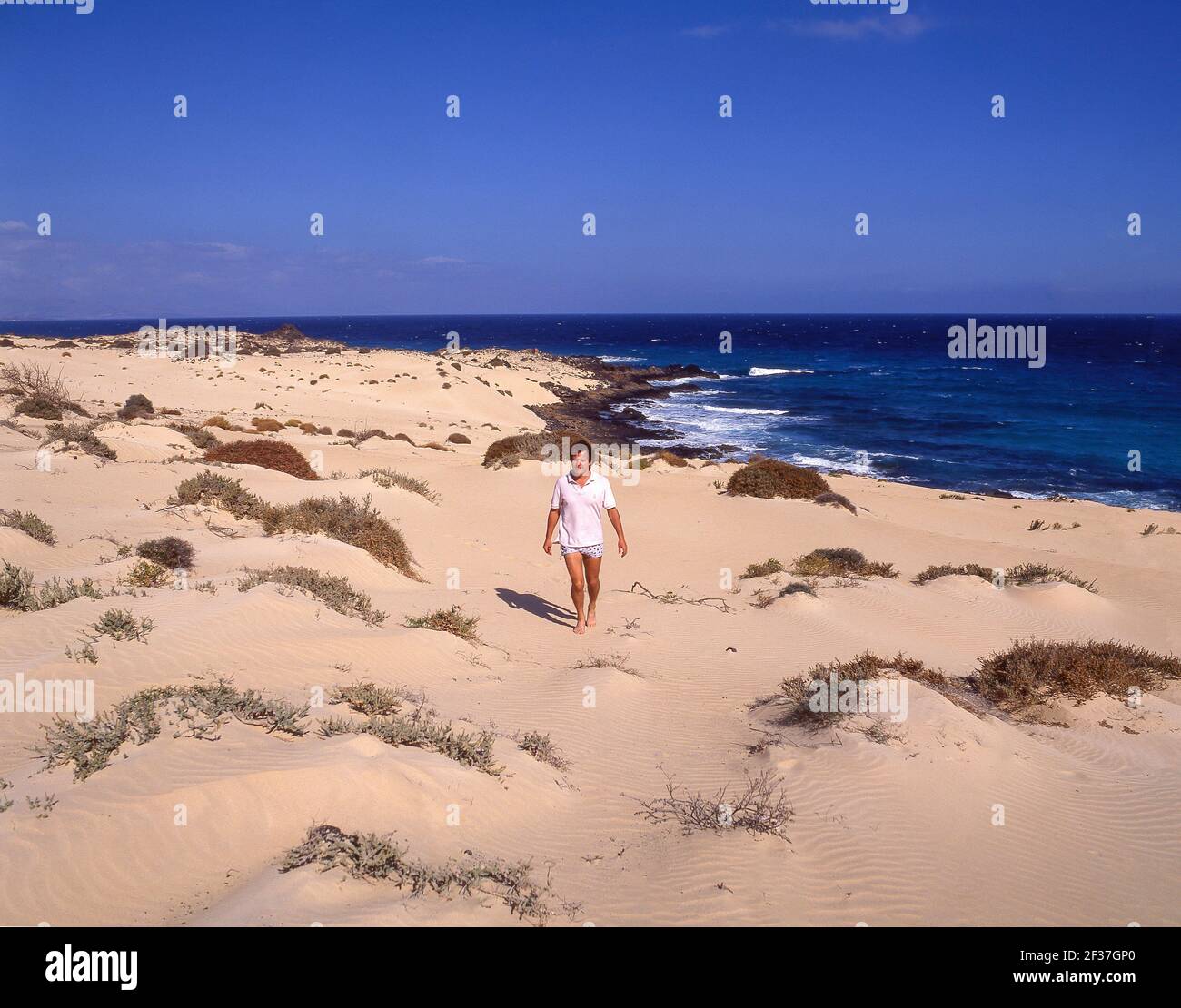 Küstensanddünen, Playa Larga, Fuerteventura, Kanarische Inseln, Spanien Stockfoto