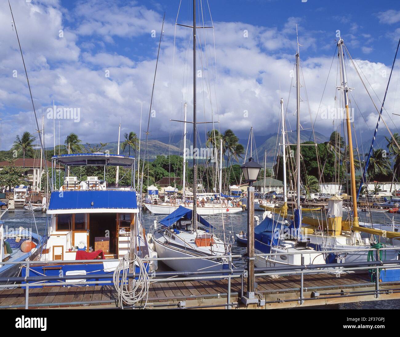 Waterfront Marina in Lahaina, West Maui, Maui, Hawaii, Vereinigte Staaten von Amerika Stockfoto