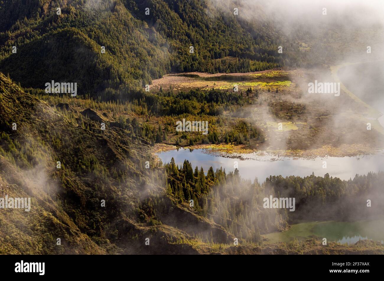 Blick über den See Lagoa do Fogo, auf der Insel Sao Miguel, Reiseziel der Azoren. Stockfoto