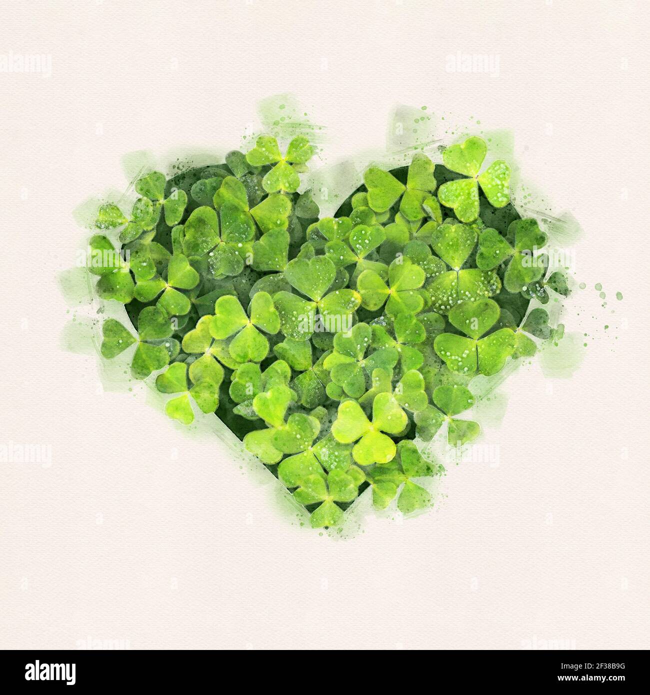 Grünes Kleeblatt lässt Herz im Aquarellstil auf weißem Papier Hintergrund Stockfoto