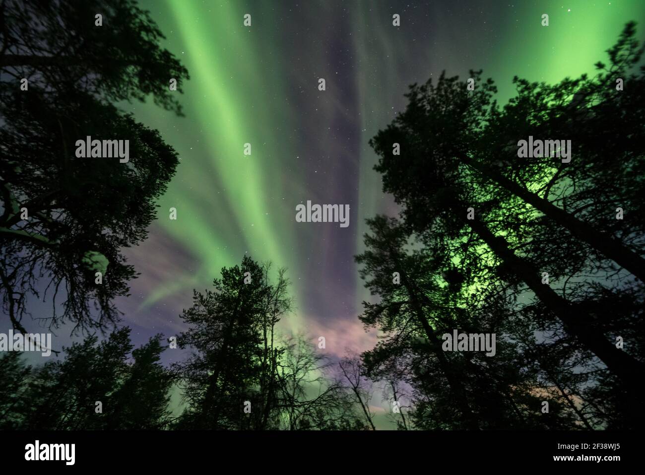 Aurora Borealis von Luirojärvi aus gesehen offene Wildnishütte im Urho Kekkonen Nationalpark, Sodankylä, Lappland, Finnland Stockfoto