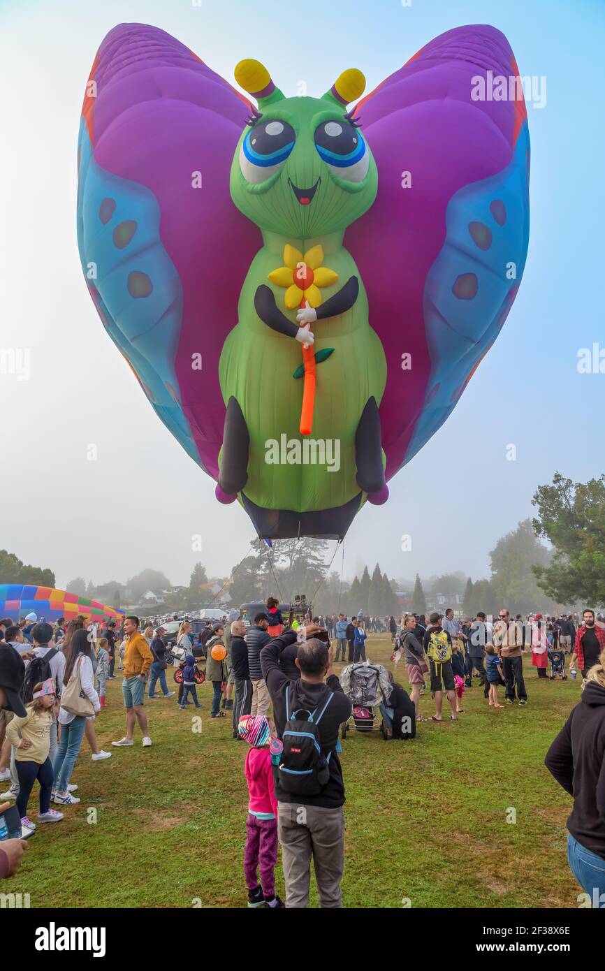 Ein Heißluftballon in Form eines niedlichen Schmetterlings, der über einer Menschenmenge schwebt. Balloons Over Waikato Festival, Hamilton, Neuseeland Stockfoto