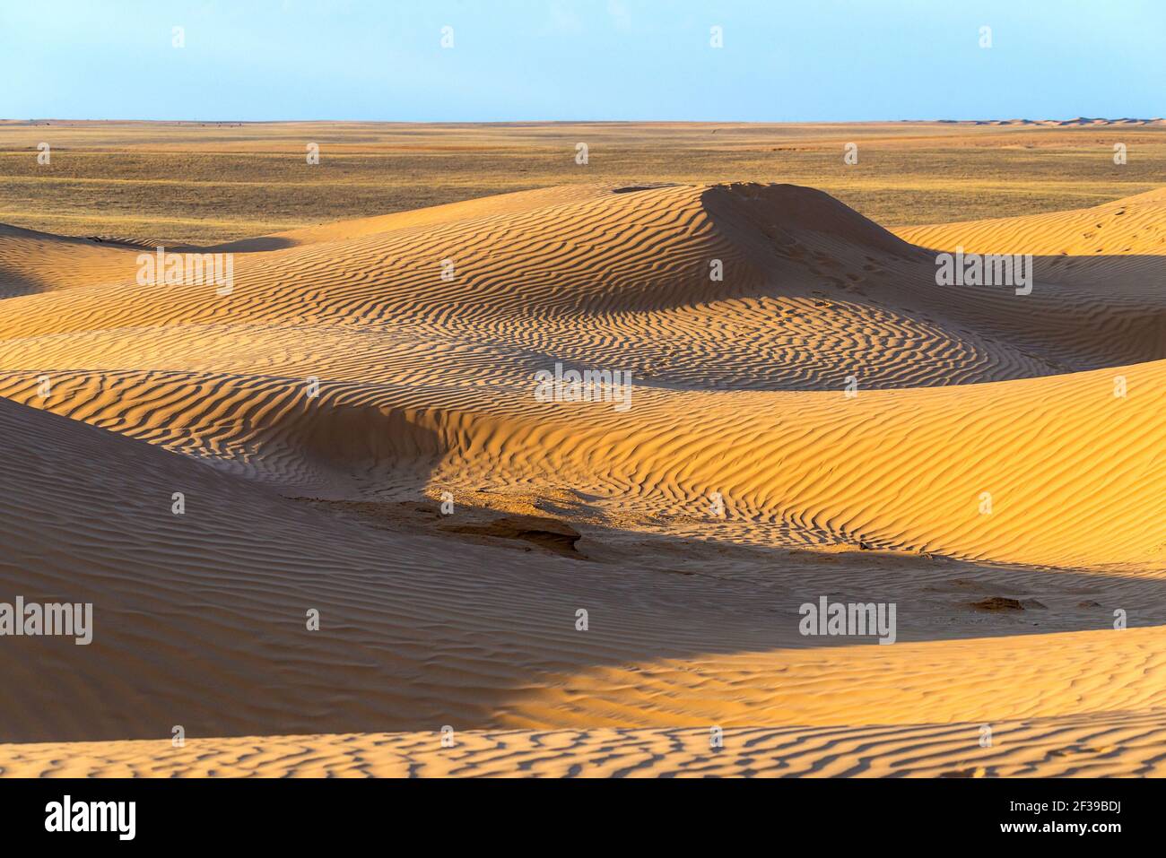 Riesige Dünen der Wüste. Schöne Strukturen von sandigen barkhan oder Sand-Düne. Wellen durch Wind auf der Sandoberfläche. Stockfoto