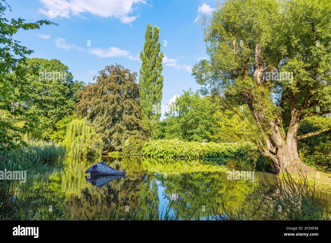 Geographie / Reisen, Deutschland, Hessen, Marburg, Marburg an der Lahn, Alter Botanischer Garten, Zusatz-Rechteklärung-Info-nicht-verfügbar Stockfoto