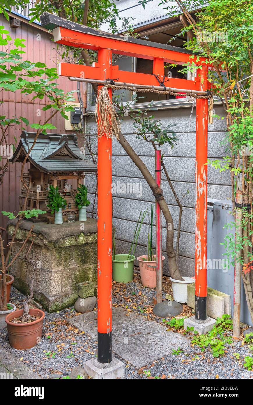 tokio, japan - märz 15 2021: Japanisches shintoist rotes Torii-Tor und kleiner Massha-Holzaltar dem Inari-Fuchs shinto kami gott des Reises gewidmet Stockfoto