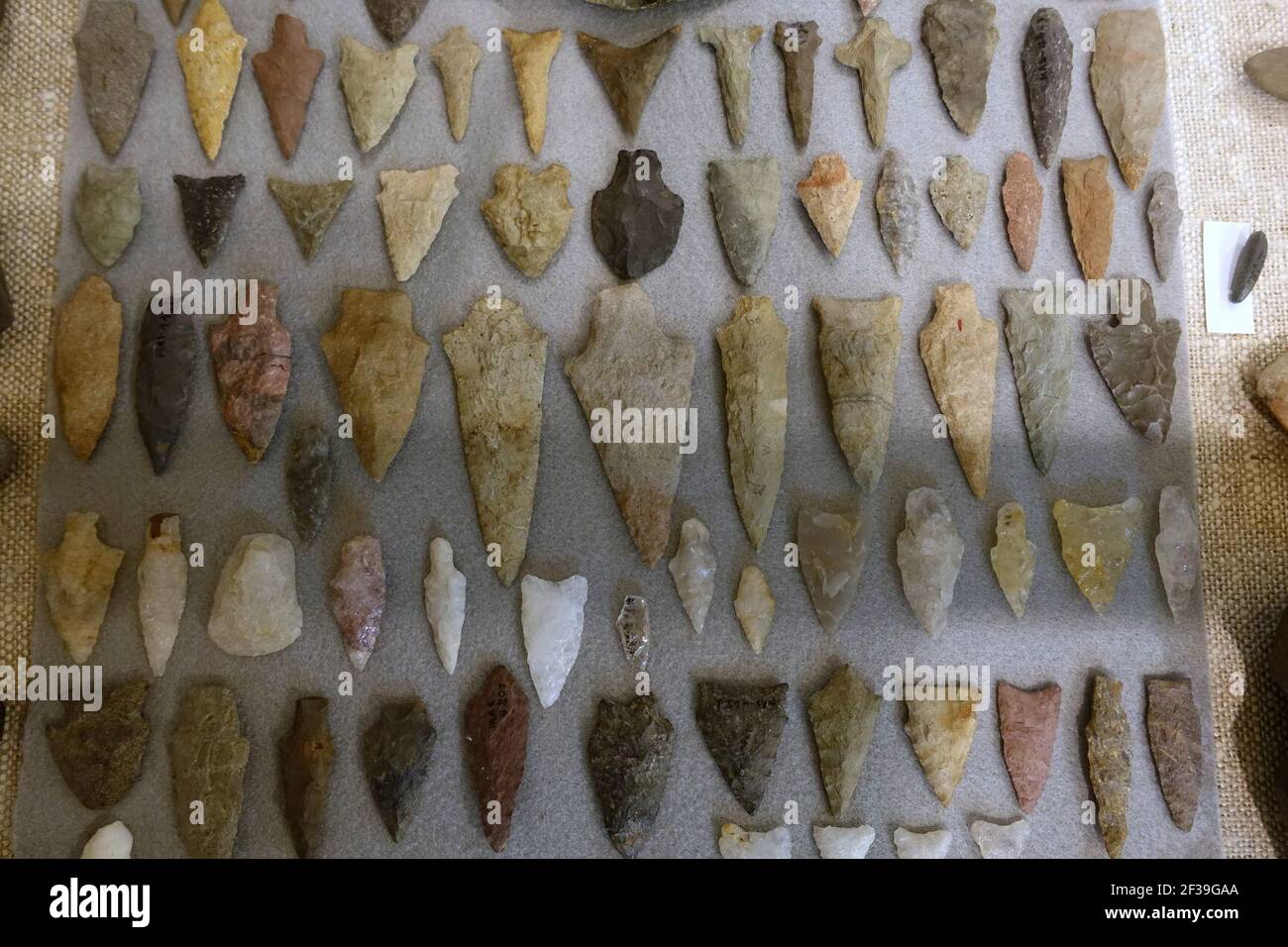 Projektil Points - Charles Chauncy Ferguson Sammlung, gefunden in Zentral-Massachusetts Stockfoto