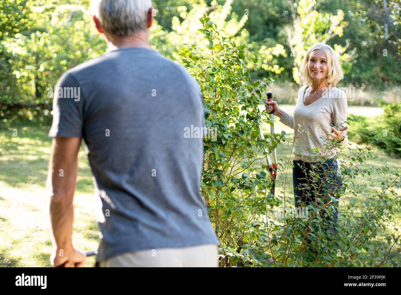 Lächelnde reife Frau mit Gartenscheren, die ihren Mann im Hinterhof anschaut Stockfoto