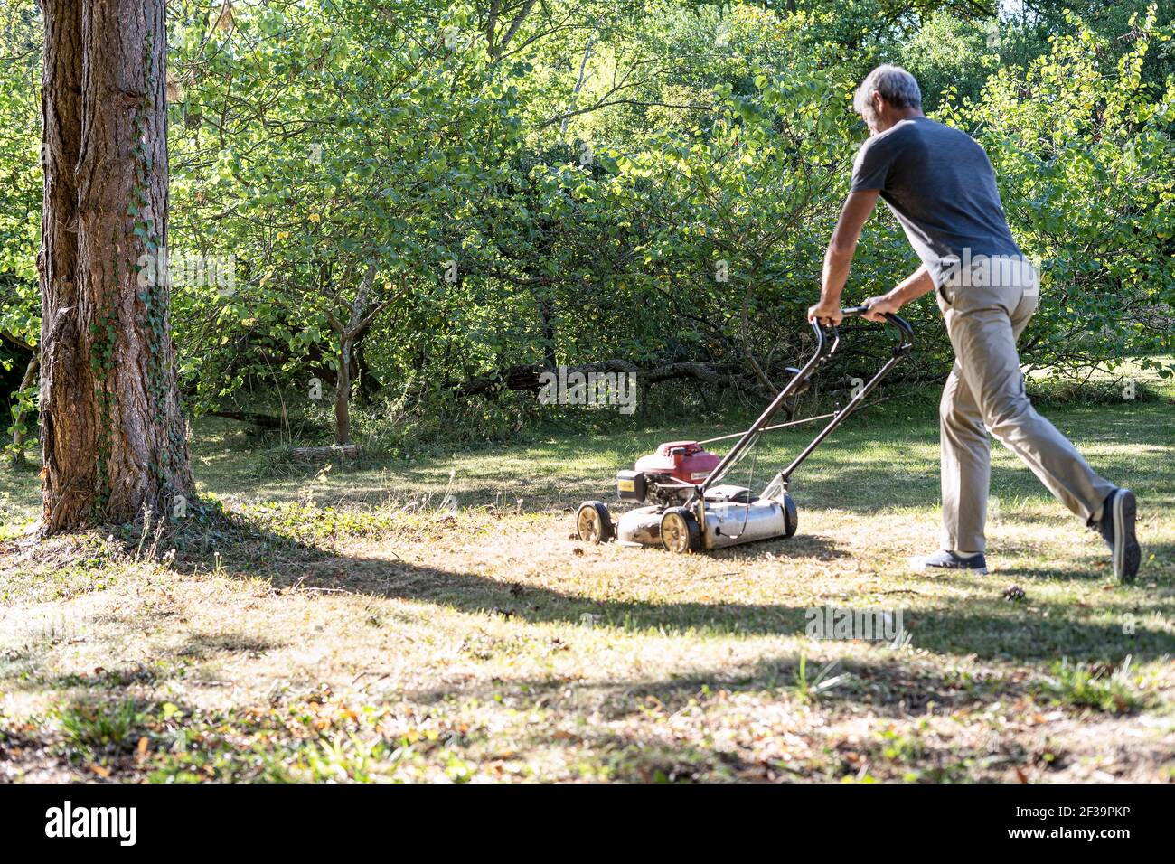 Reifer Mann, der Gras mit dem Mäher schneidet Stockfoto