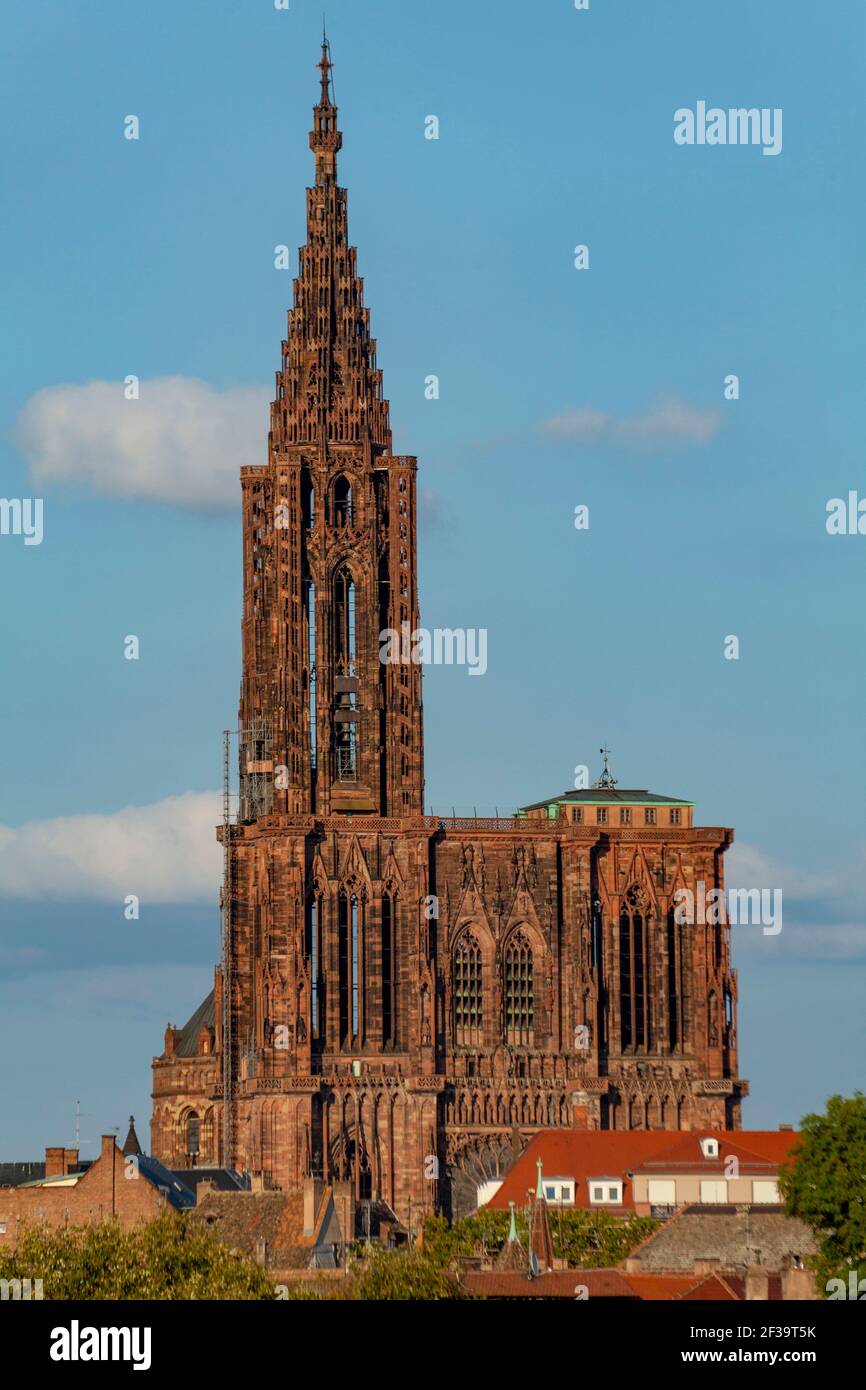 Strasbourg (67): Strasbourg Minster, eine katholische Kathedrale in romanischer Architektur, die zu den schönsten Beispielen der Rayonnant-Gotik zählt Stockfoto