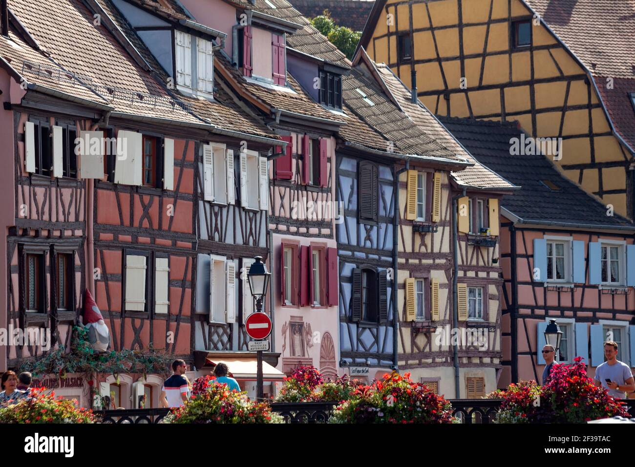 Colmar (Nord-Ost-Frankreich): Fassaden von Fachwerkhäusern, traditionelle elsässische Häuser entlang der Lauch im Touristenviertel von Little Ve Stockfoto