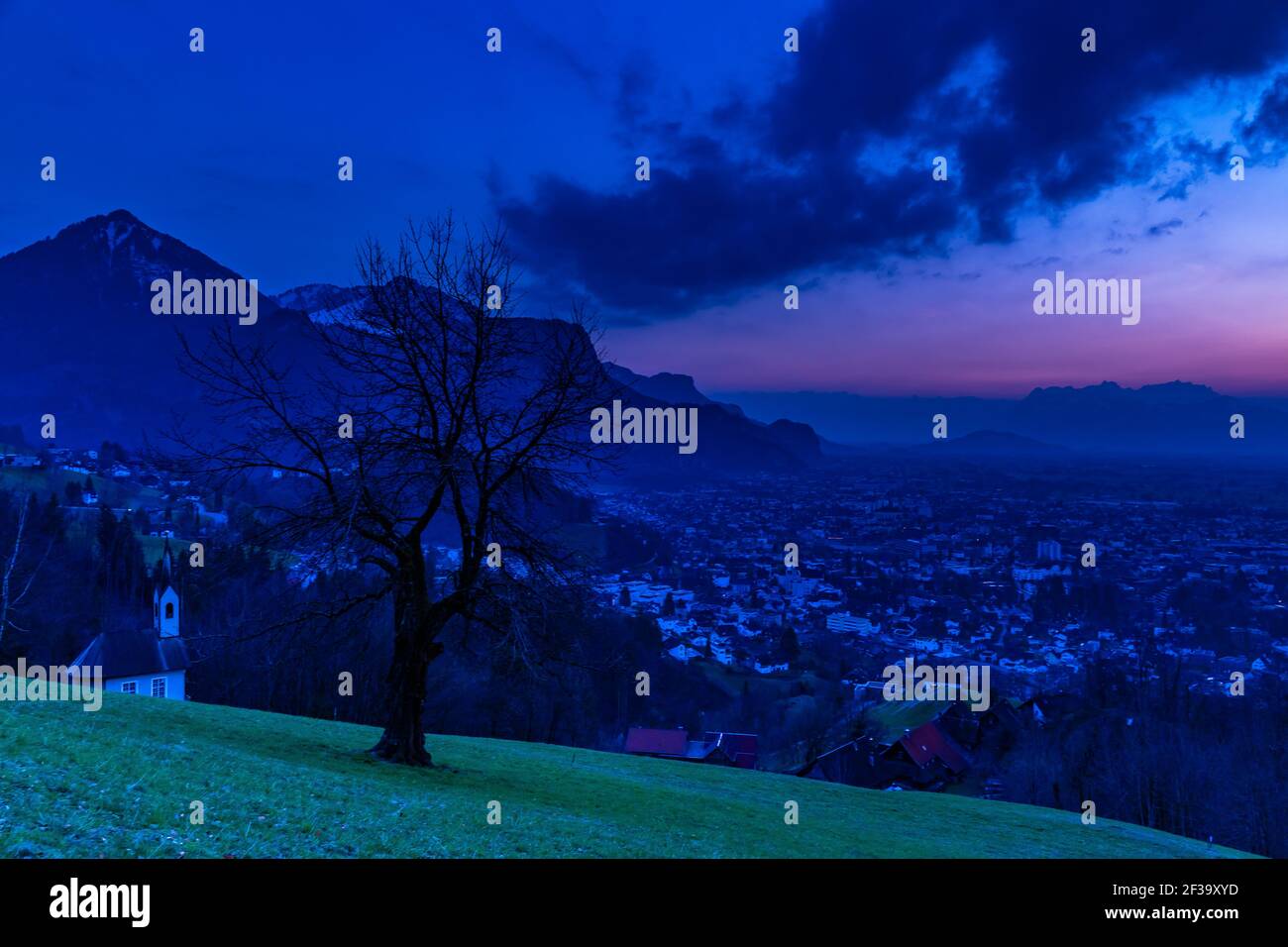 Sonnenuntergang über Schweizer Berg, Baum auf Wiese mit Blick über Rheintal, Dornbirn, Lustenau, Götzis, Kummenberg, Säntis Hintergrund. Abendrot mit Baum Stockfoto