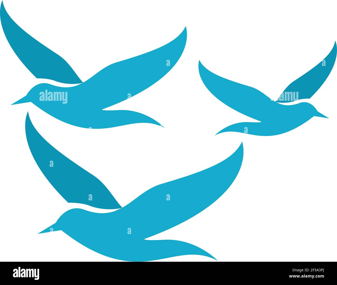 Seagull Logo Vorlage Vektor Symbol Illustration Design Stock Vektor