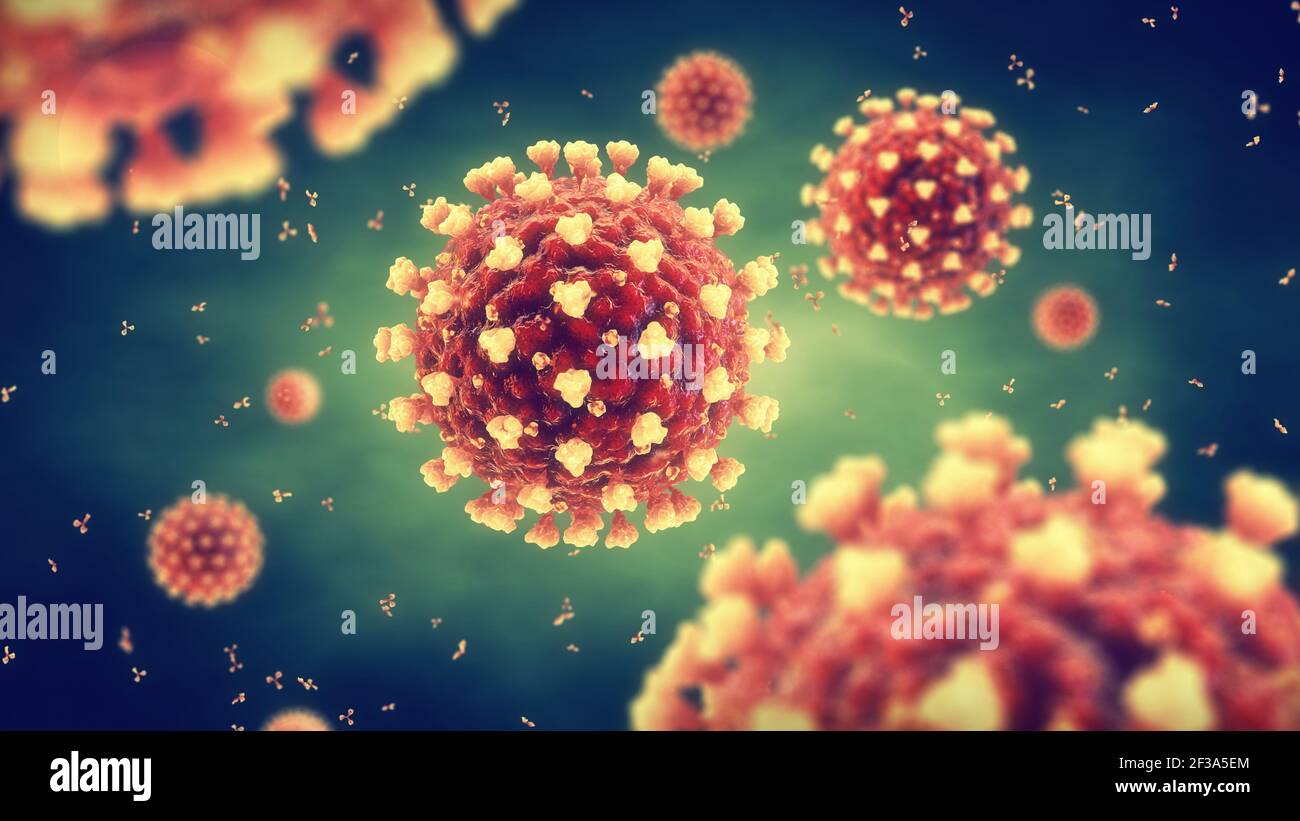 Das Coronavirus ist ein hochansteckender Virus, der ein schweres akutes atemsyndrom verursacht. Die weltweite COVID-19-Pandemie wird durch die SARS CoV-2 verursacht. Stockfoto