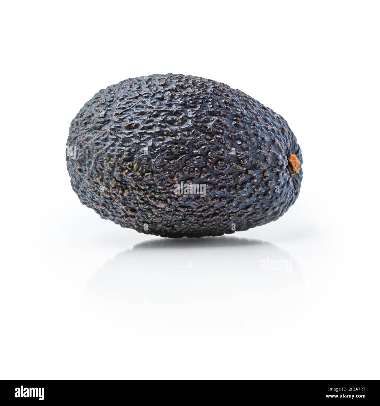 Avocado isoliert auf weißem Hintergrund. Avocado Nahaufnahme Stockfoto