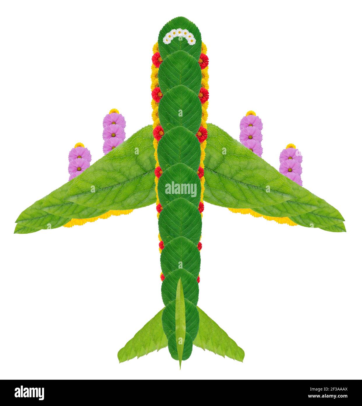 Flugzeug Jet Zeichen Symbol aus Blättern und Blumen. Isolierte gehämmte Fotocollage Stockfoto