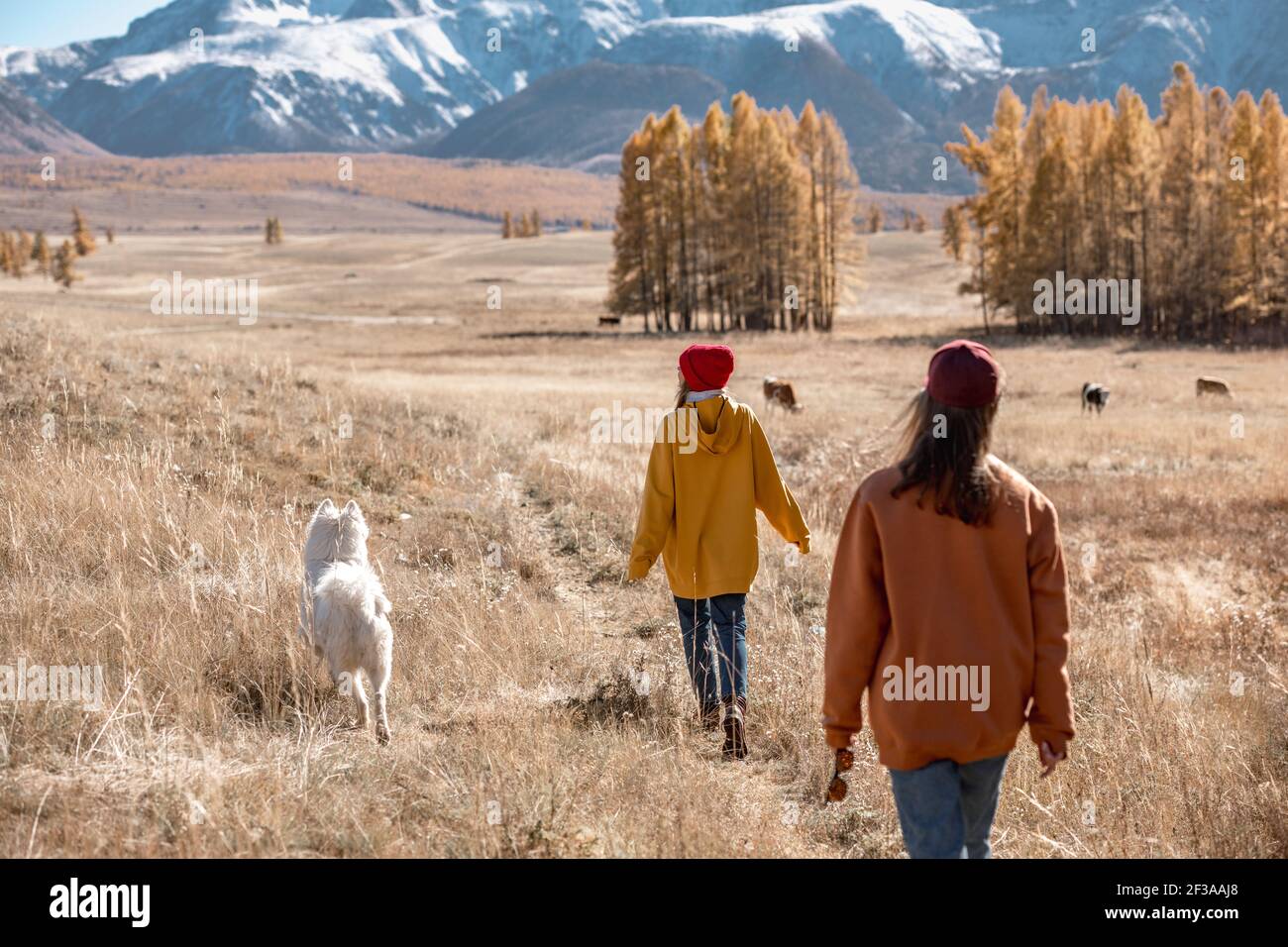 Zwei Mädchen laufen im Herbst mit weißem eskimo Hund Wald und Berge Stockfoto