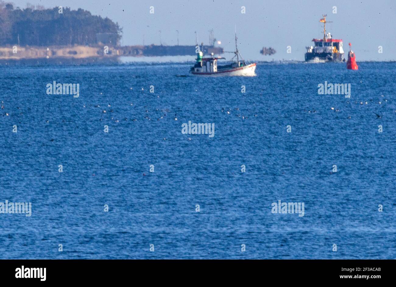 Freest, Deutschland. März 2021, 09th. Fischerboote segeln auf dem Greifswalder Bodden und fangen Heringe. (Aufgenommen mit extremem Teleobjektiv) die festen niedrigen Fangquoten verursachen Küstenfischer in Mecklenburg-Vorpommern Probleme. Beim Hering sind seit 2017 rund 94 Prozent der Fangquote verloren gegangen. Quelle: Jens Büttner/dpa-Zentralbild/ZB/dpa/Alamy Live News Stockfoto