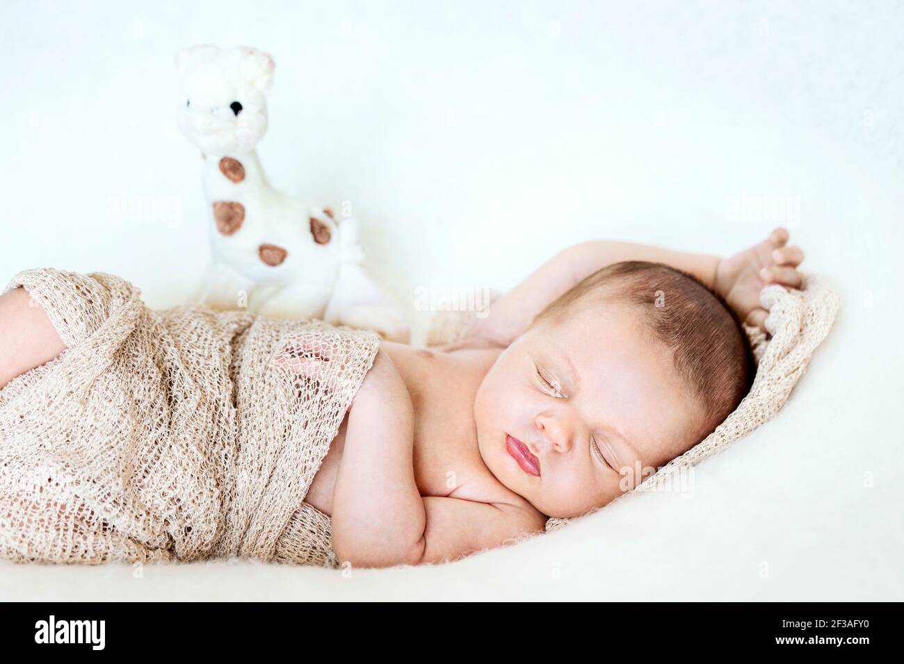 Portrait eines Neugeborenen jungen Stockfoto