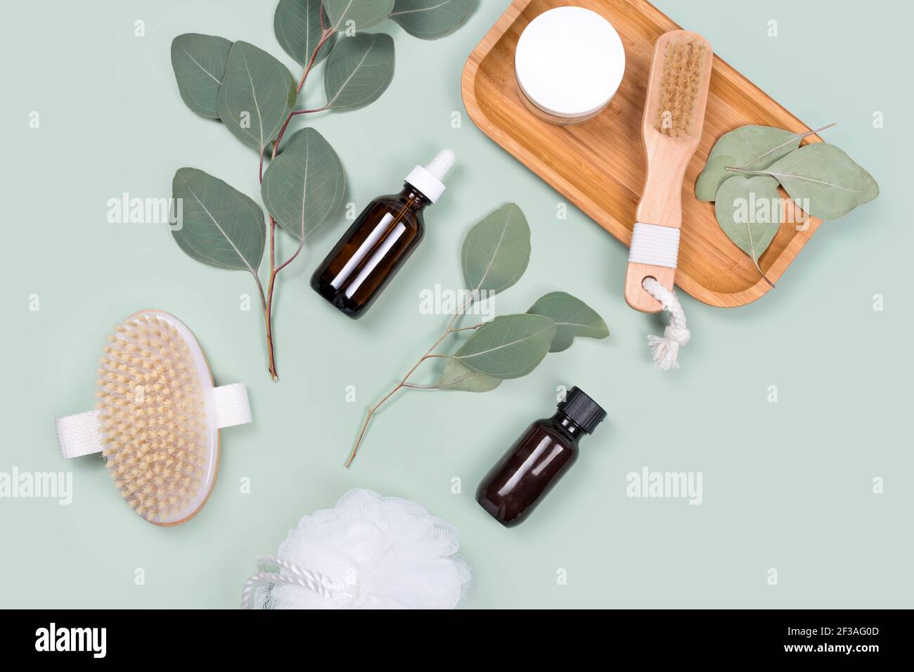 Ätherische Öle, Gesichtscreme-Behälter und Massagebürsten mit natürlichen  Eukalyptusblättern auf grünem Hintergrund. Beauty-Produkte, Massage-Tools,  Gesichtsbehandlung Stockfotografie - Alamy