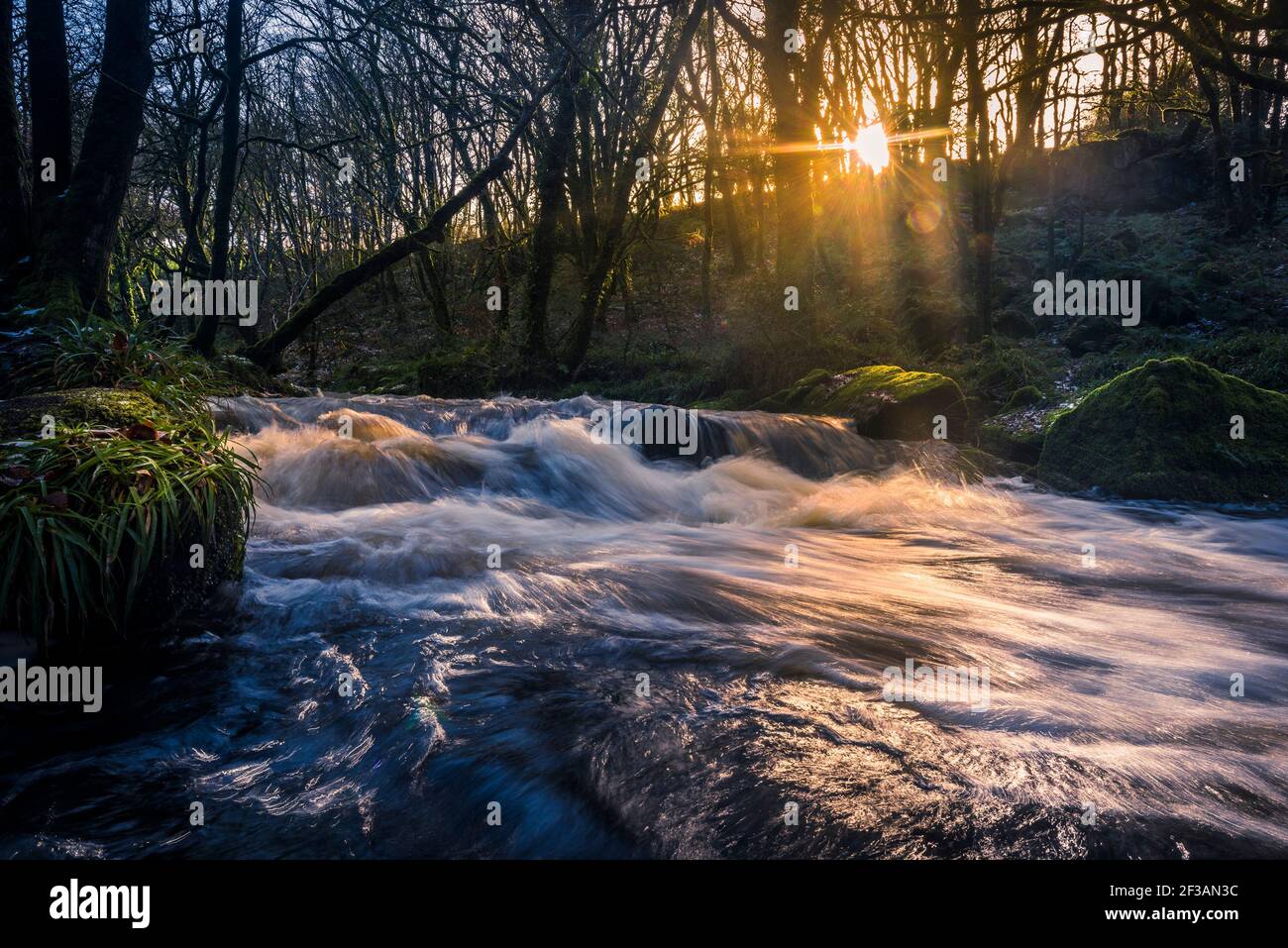 Am späten Nachmittag Sonnenlicht während der Fluss Fowey fließt entlang Golitha Falls in der historischen und alten Wald Draynes Wood in Cornwall. Stockfoto