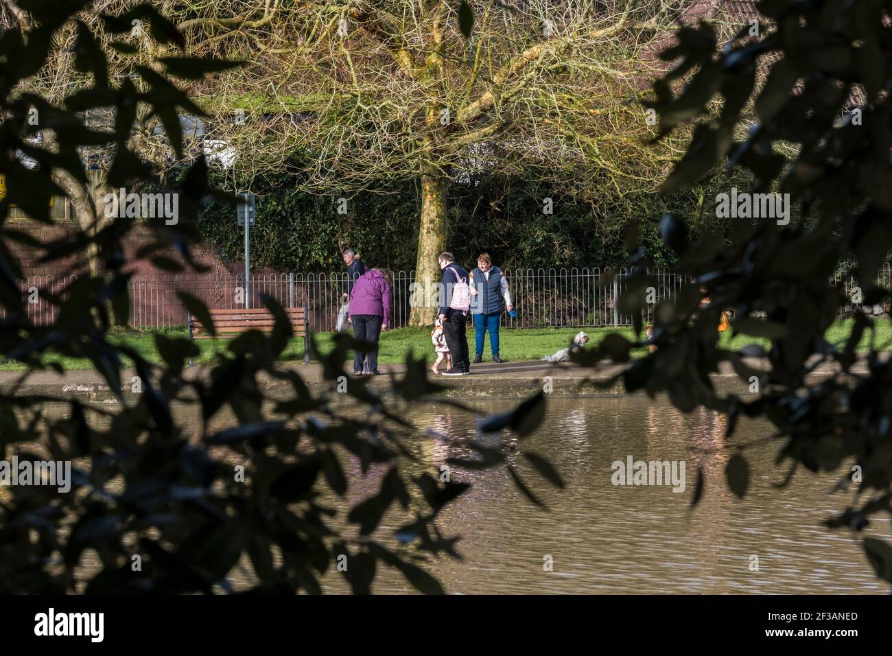 Menschen, die um den Trenance Boating Lake herumwanderten, erhaschen in Newquay in Cornwall einen Blick durch die Laubbäume. Stockfoto