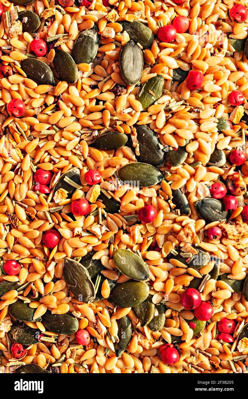 Vertikaler Hintergrund des Essens: Mischung aus Gewürzen, Gewürzen und Samen aus der Nähe, goldenen Leinsamen, Kürbiskernen, roten Paprika und getrocknetem Ingwer, gesundes Essen Stockfoto