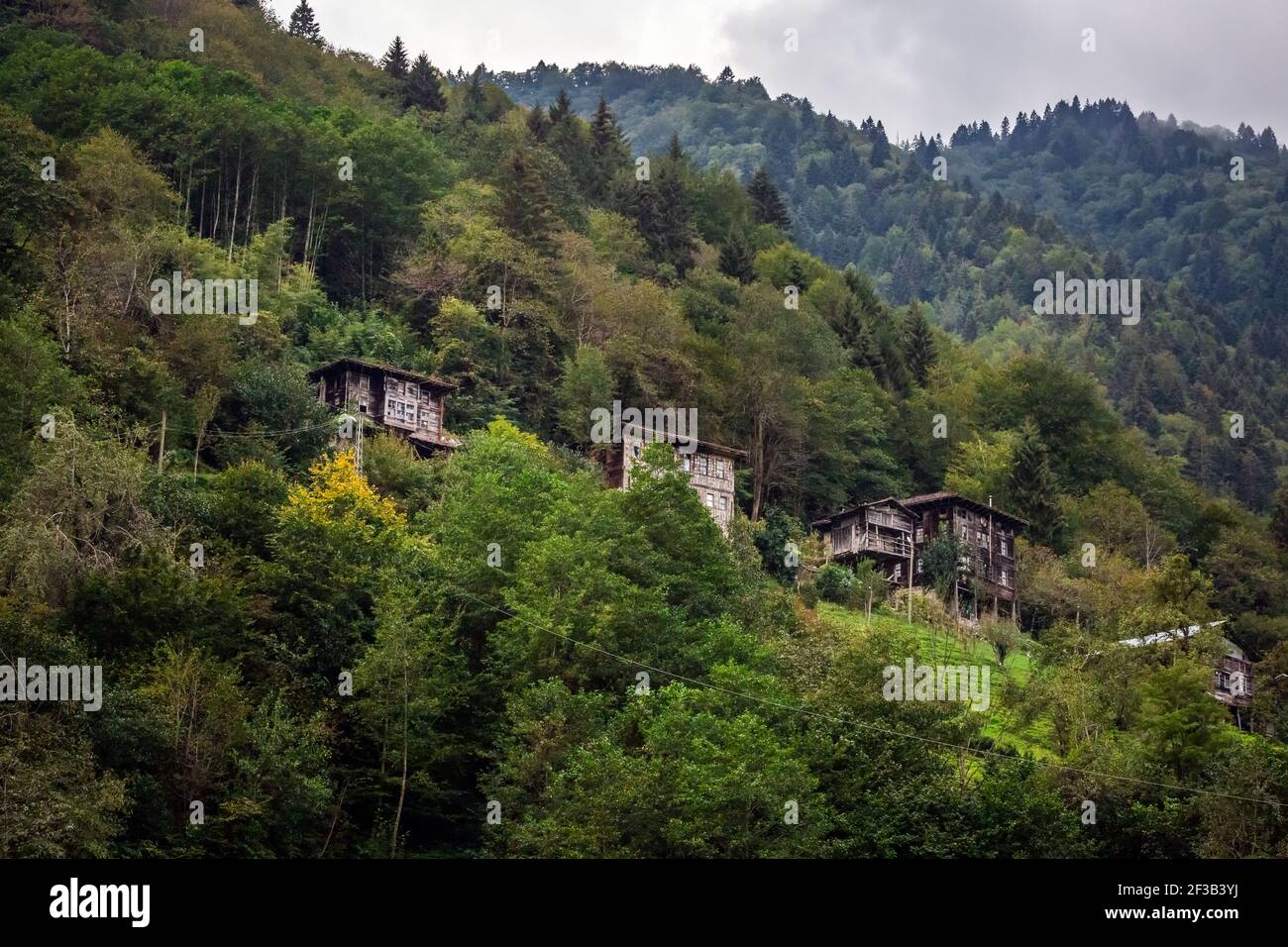 Firtina Tal in Rize Stockfoto