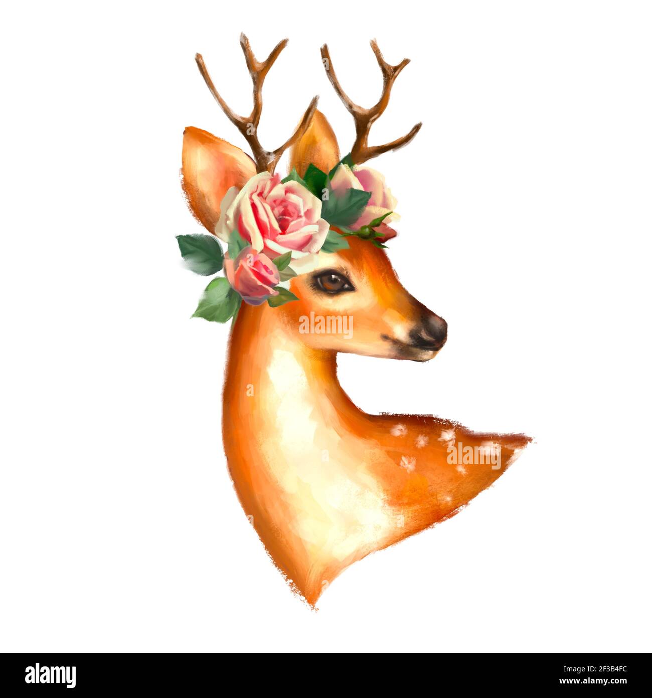 Niedliche Hirsche und Blumen. Frühling Tierporträt Stockfoto