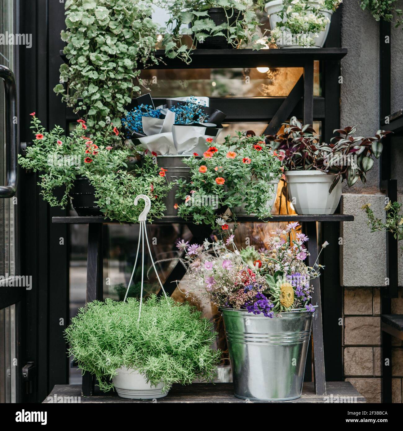 Vintage Shop Fassade oder Cafe Eingang mit Pflanzen dekoriert, rustikalen Stil Stockfoto