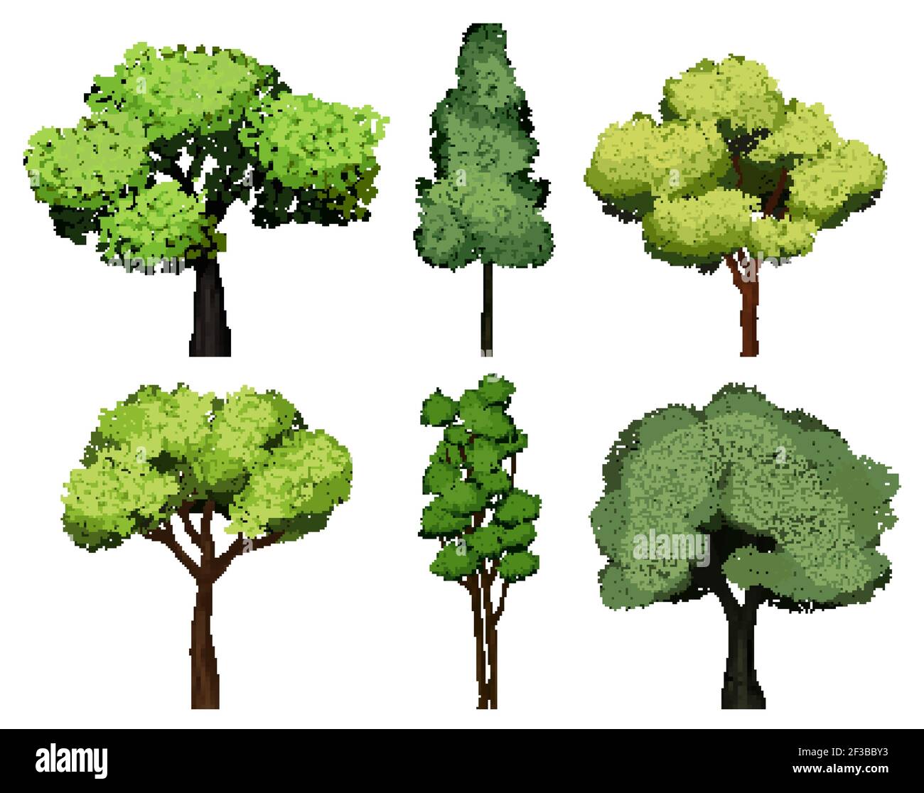 Sammlung von Bäumen. Grüne Pflanzen mit Blättern Ökologie Garten botanischen Vektor realistische Bilder Stock Vektor