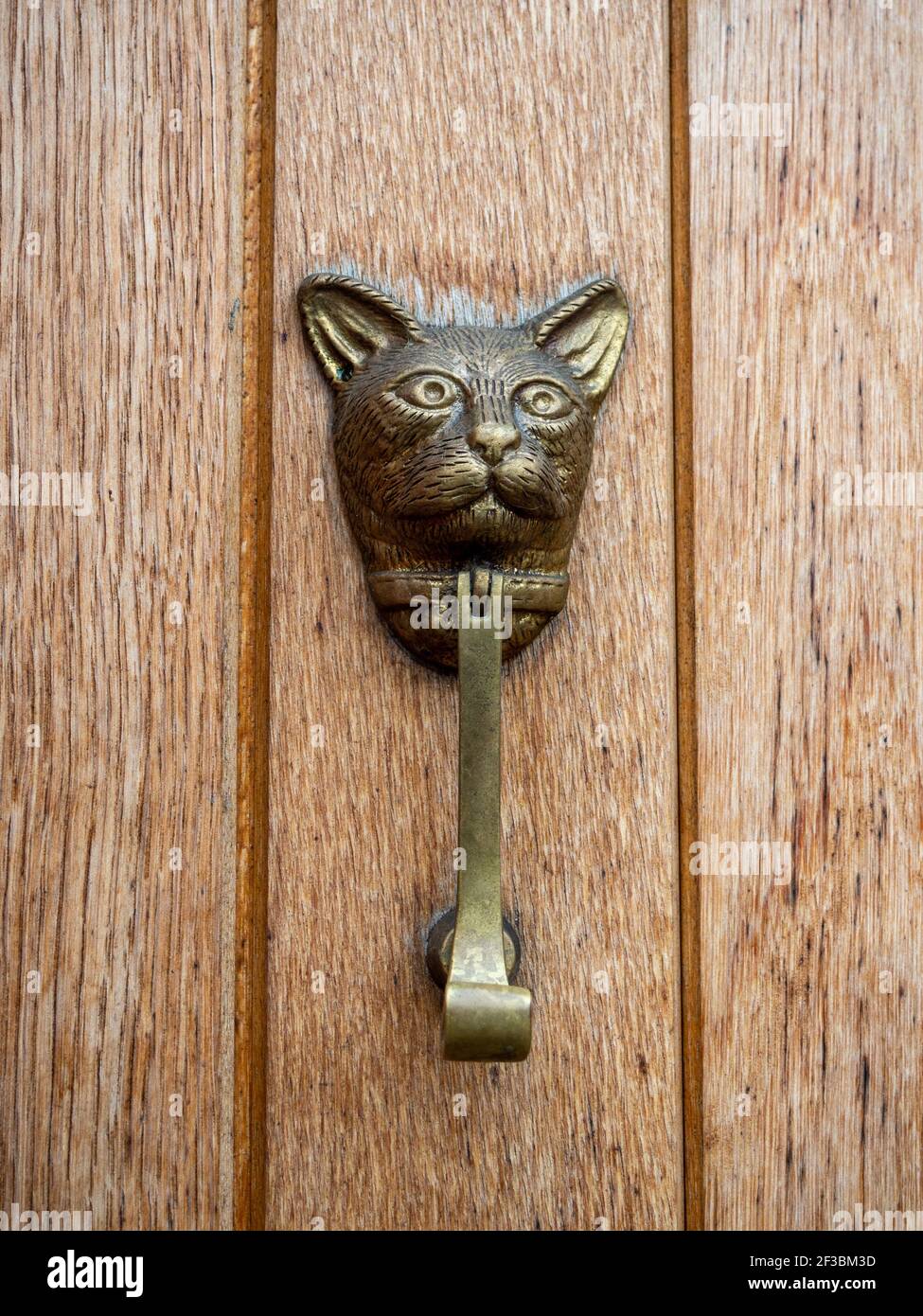 Türklopfer aus Messing mit dem Gesicht einer Katze auf einer hölzernen Haustür, Großbritannien Stockfoto