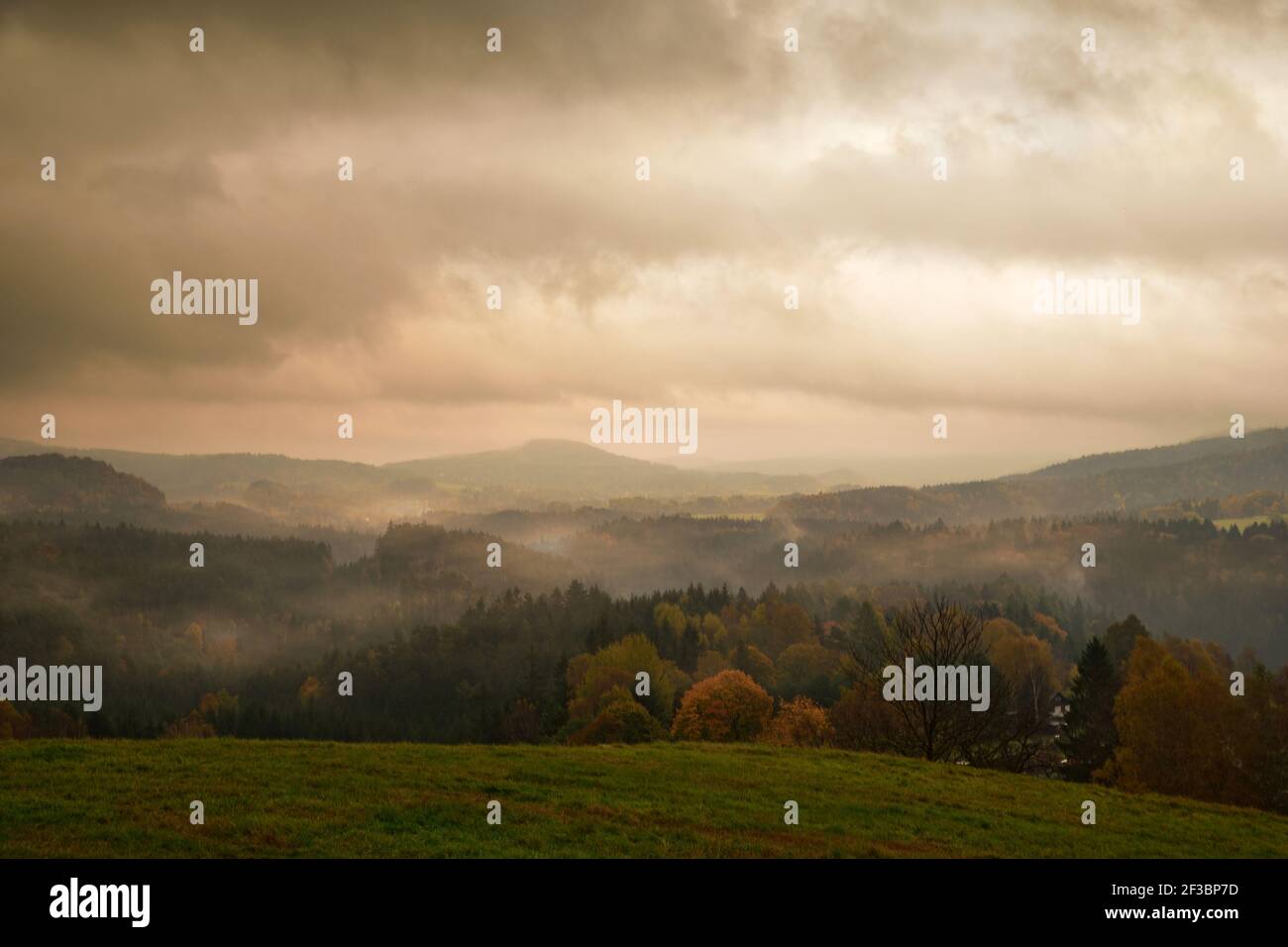 Schöne Herbstnatur im Wald Stockfoto