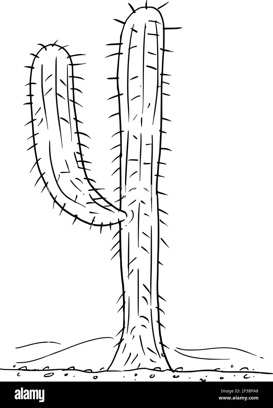Mexikanischer Wüstenkaktus. Handzeichnung und Illustration Stock Vektor