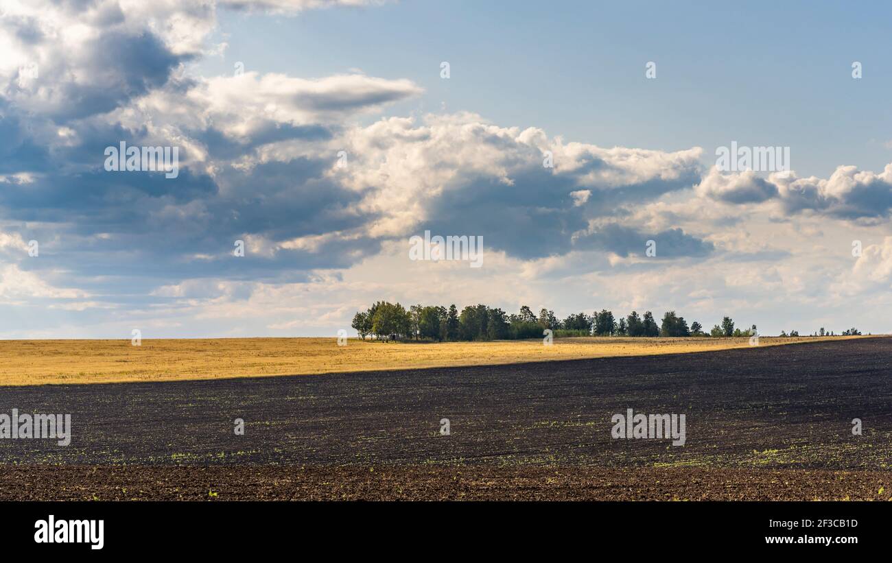 Schwarzes Brachfeld mit kleinem Wald und Wolken im Herbst. Stockfoto