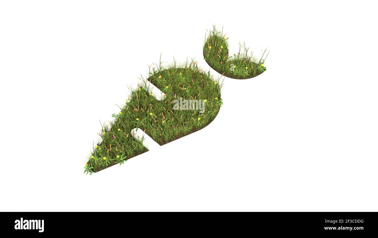3D gerendertes Grasfeld mit bunten Blumen in Form von Symbol der Karotte mit Boden isoliert auf weißem Hintergrund Stockfoto