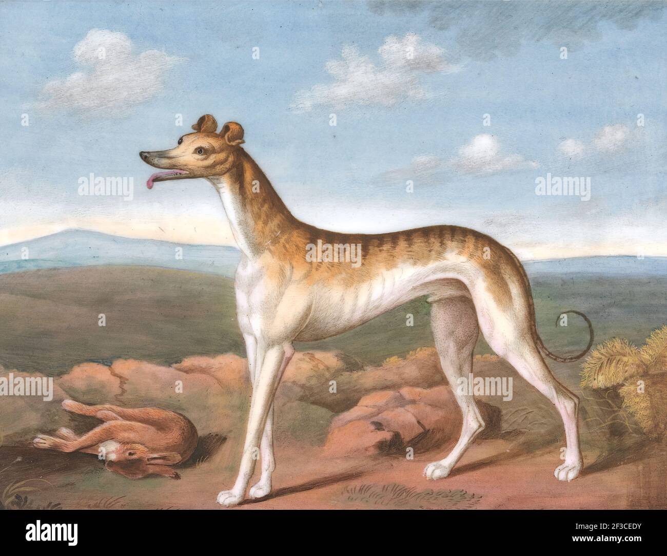 Greyhound: Nach links, mit einem toten Haare zu seinen Füßen, ca. 1805. Nach Philip Reinagle Stockfoto