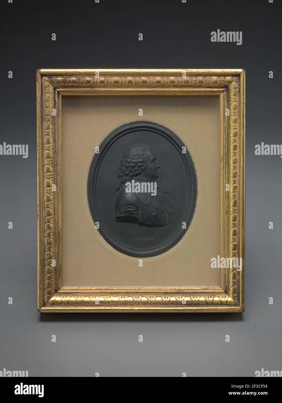 Sir Charles Linnaeus, undatiert. Nach John Webber Stockfoto