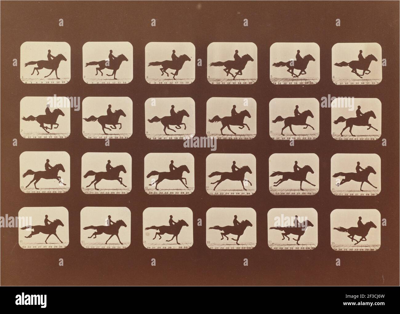 Pferde. Läuft. Phyrne L. Nr. 40, 1879. Stockfoto