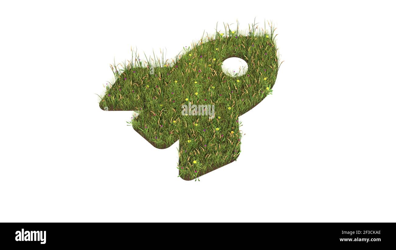 3D gerendertes Grasfeld mit bunten Blumen in Form von Symbol der Rakete mit Boden isoliert auf weißem Hintergrund Stockfoto