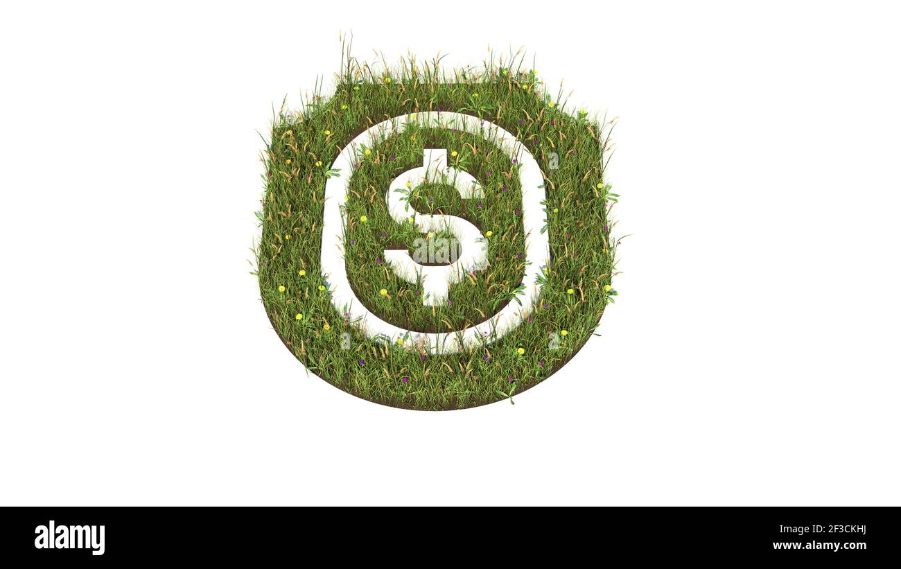 3D gerendertes Grasfeld mit bunten Blumen in Form von Symbol des Schildes mit Dollar innen mit Boden isoliert auf Weißer Hintergrund Stockfoto