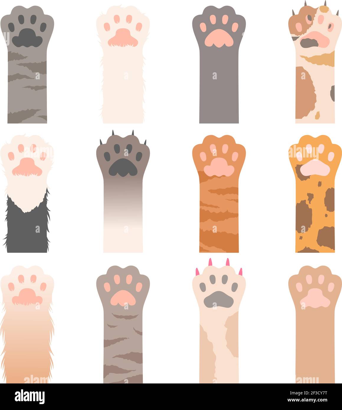Pfote Katzen. Niedliche Tiere Hände wild Katzen Krallen Vektor Cartoon-Figuren Stock Vektor