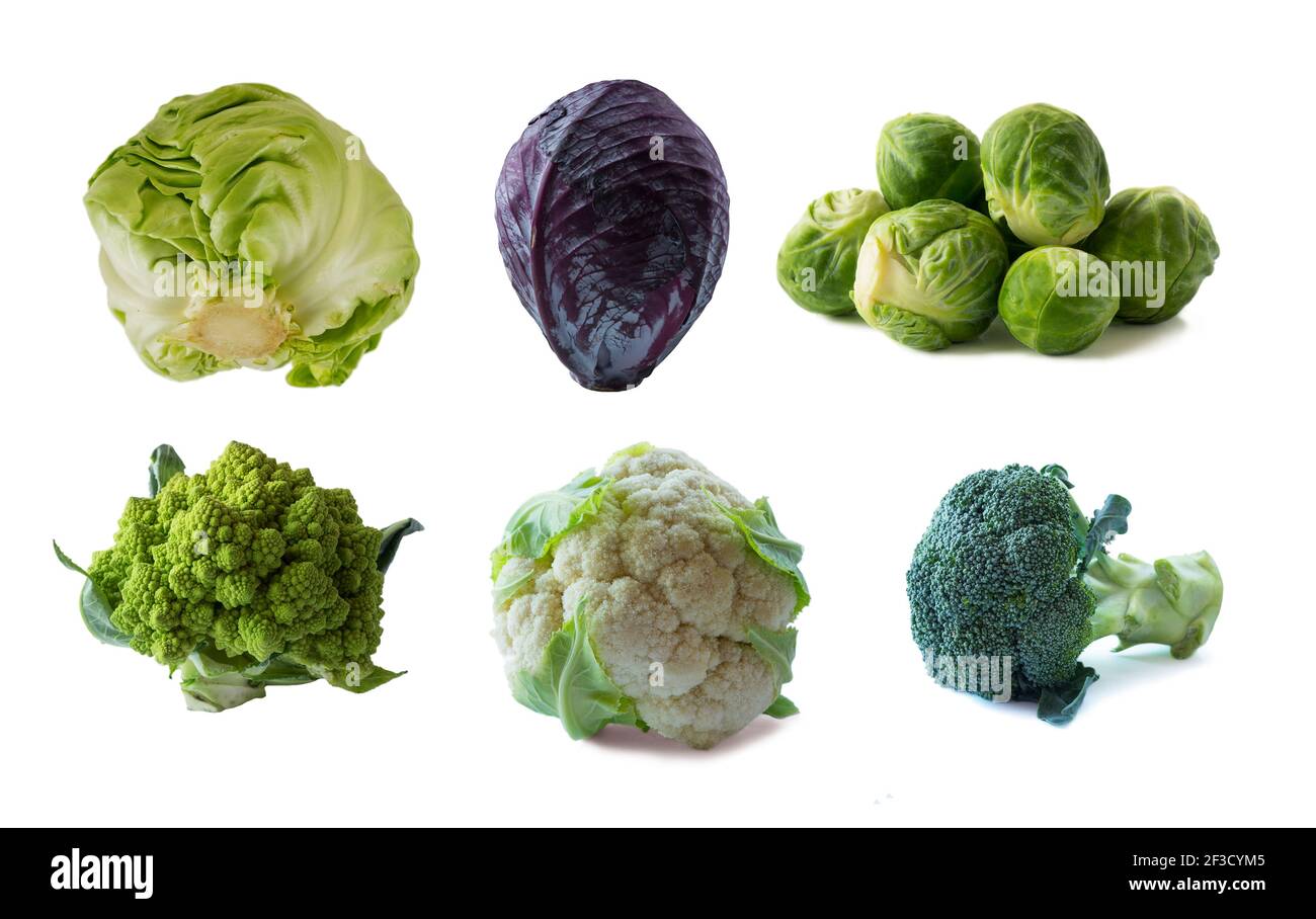 Verschiedene Kohl isoliert auf weißem Hintergrund. Rosenkohl, Brokkoli, Kohl Romanesco, Blumenkohl, Weißkohl auf Weiß. Gemüse isoliert Stockfoto