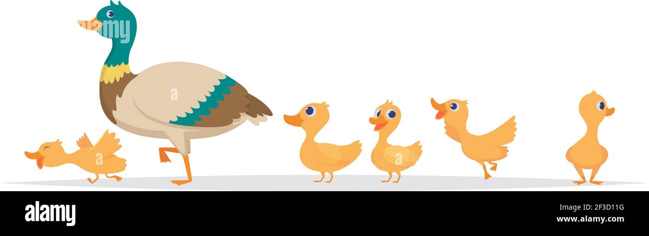 Mutter Ente. Reihe von wilden Enten Vögel Familie Wandern Vektor Cartoon Sammlung Stock Vektor