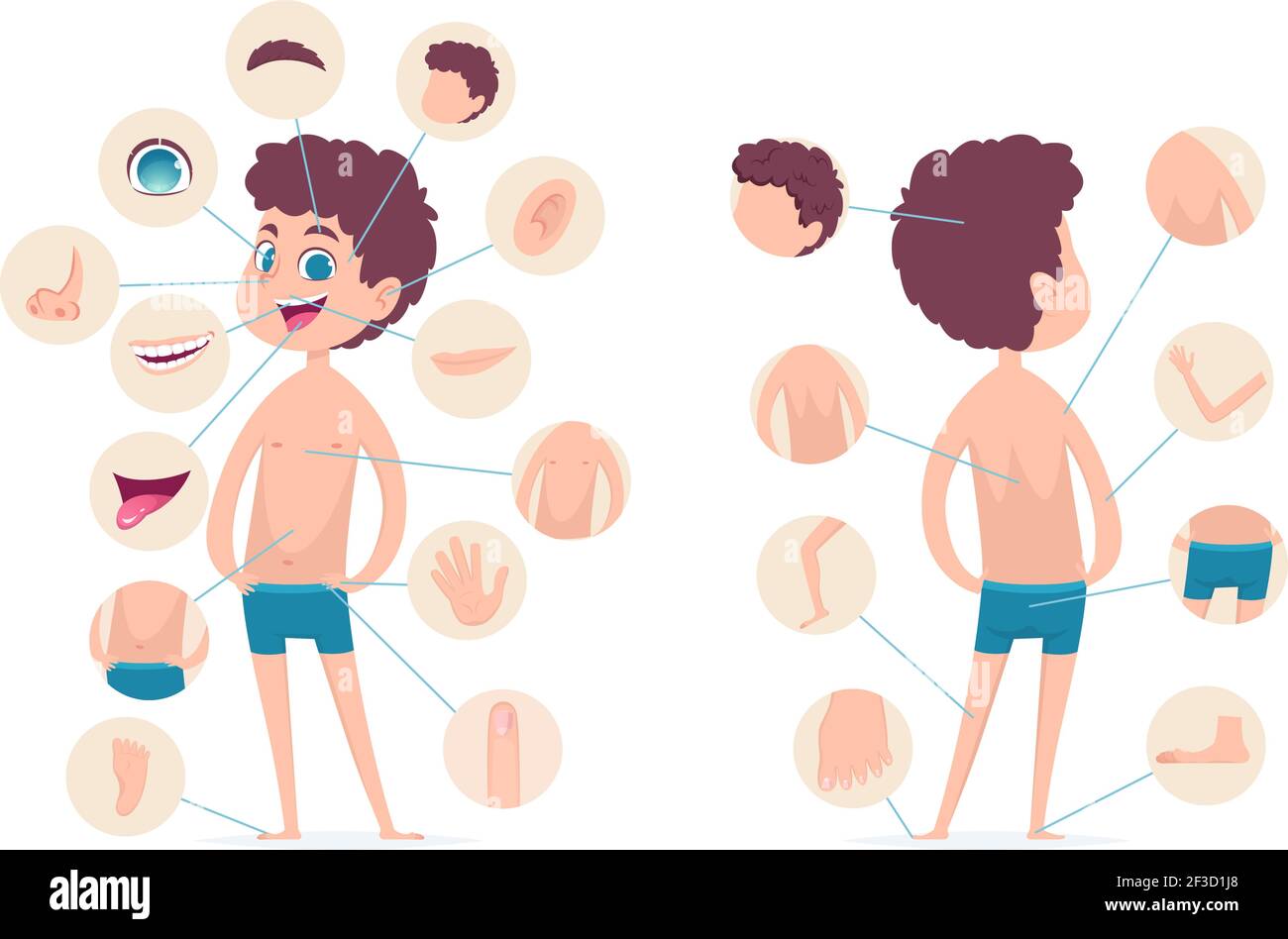 Boy Körperteile. Junge menschliche Schule männlich Kind Anatomie Hände Beine Finger Kopf Vektor Cartoon Charakter Stock Vektor